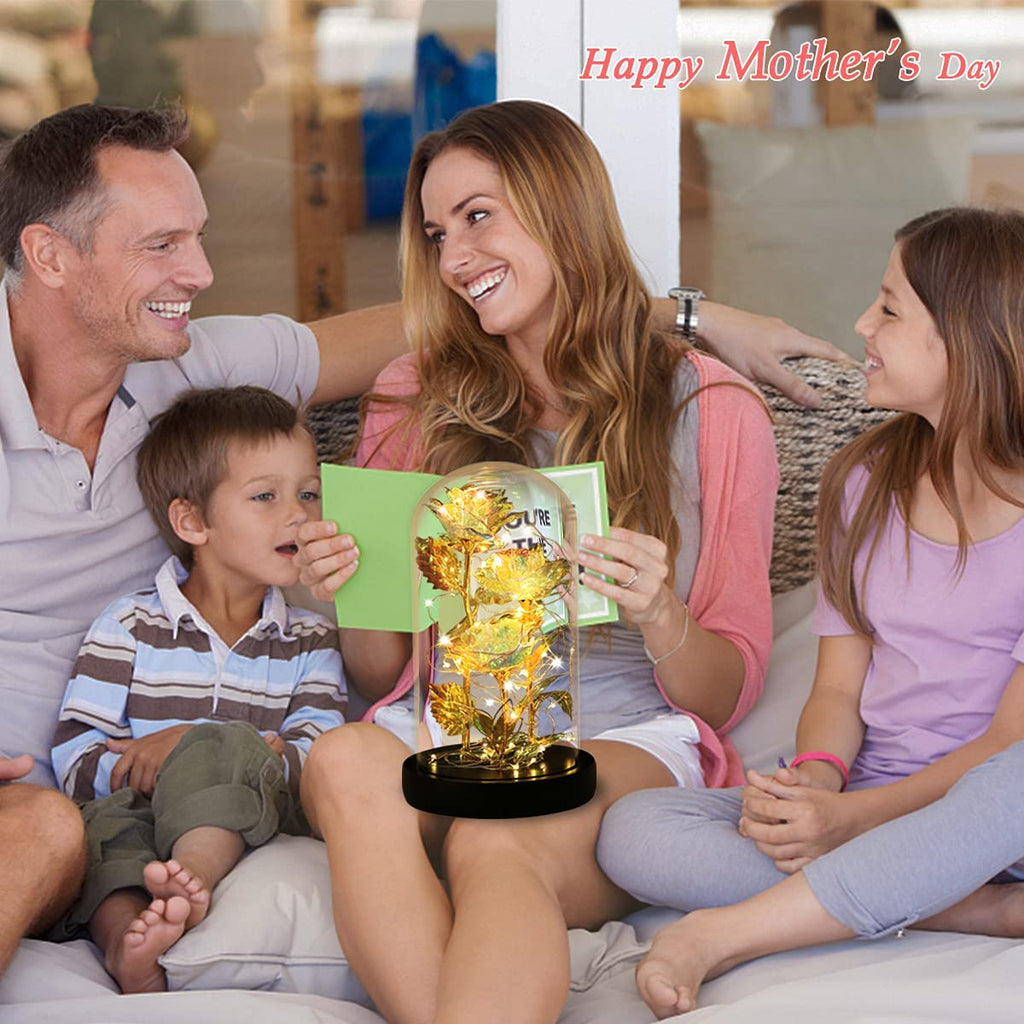 Beauty and the Beast Rose Gifts for Women,Colorful Rainbow 