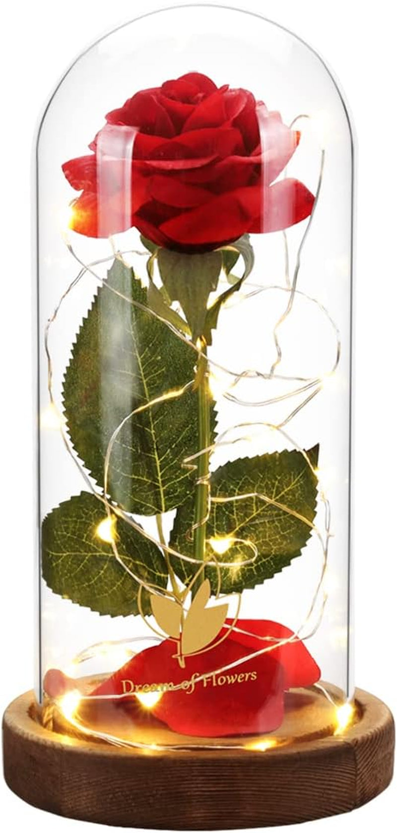 Beauty and the Beast Rose Gifts for Women,Colorful Rainbow 